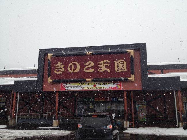 友人とレンタカー利用。必ず行く石狩のお寿司屋さんが冬季閉鎖中。念のため大将の店に電話したら大将さんの元気な声が聞けて元気だって安心しましたが、休んでいることは確定しました。残念…。<br />で、今旅行では石狩方面を回避し、久しぶりの小樽方面へ出向開局。すすきの→小樽→余市通過→積丹半島の泊原発あたりまで海岸沿い周遊→小樽→すすきの。厳冬の積丹の風景のすばらしさに感動、ただし前調べせず生ウニ丼食べれるねって有名店舗の集中する積丹半島周遊を楽しみにするも冬季は生ウニ丼か食べれないことを知った苦い旅。<br /><br />※表紙画像は周遊中に立ち寄ったキノコ王国仁木店。まっさんで観光客ごった返す余市を南方へ、キノコ大好きなんで表紙にしました。頑張れキノコ王国。