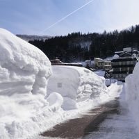 背丈まである雪を見たい～肘折幻想雪回廊