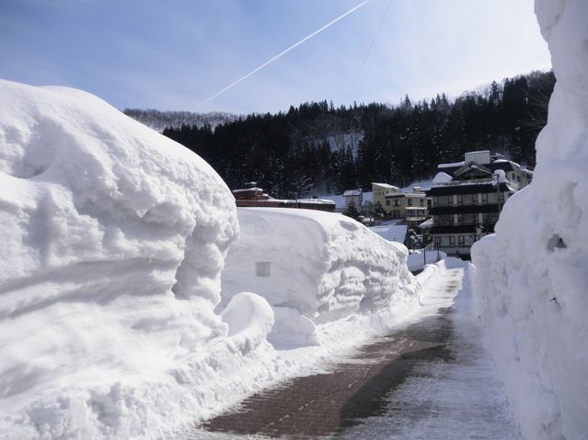 全国屈指の豪雪地帯、肘折温泉で３メートルを超える雪壁にろうそくの火が灯り、幻想的な風景が広がっていました。<br />雪に囲まれた温泉地で、2泊3日の一人旅でプチ湯治を体験。<br />のんびり、のんびりして、人のあたたかさに触れる事が出来ました。