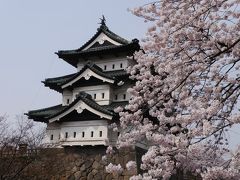 ～春爛漫！弘前城の昼桜と夜桜～　＊この眺め、今年（2015年）見逃したら、しばしお別れに。