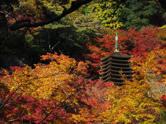 紅葉に映える十三重塔。