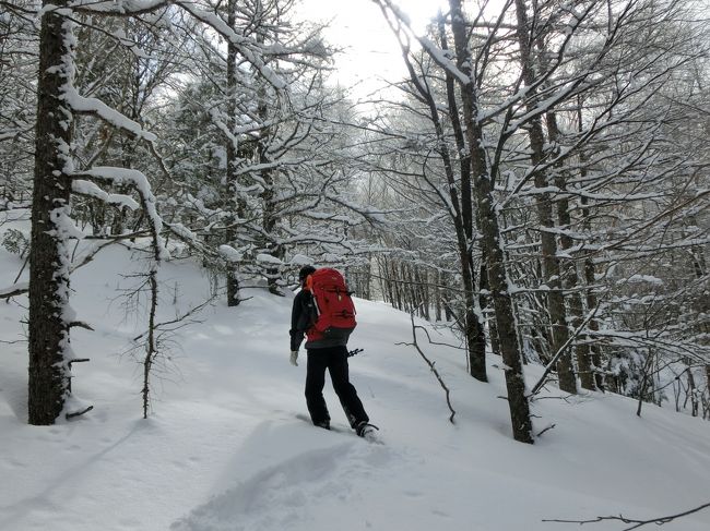 ホテルアンビエント蓼科に滞在中、できる限り雪の原野に飛び出しスノーシューをする。最初はホテル近くの散歩コースで足慣らしをし、次第に難易度を上げていく。後半は長門牧場の広大な雪原でしっかり足腰を鍛え、最後はホテル専属のネイチャーガイド「木島」さん(写真)と2人で雪の蓼科山に入る。本格的なスノーシュー・トレッキングである。<br /><br />私のホームページに旅行記多数あり。<br />『第二の人生を豊かに』<br />http://www.e-funahashi.jp/<br />(新刊『夢の豪華客船クルーズの旅<br />ー大衆レジャーとなった世界の船旅ー』案内あり)