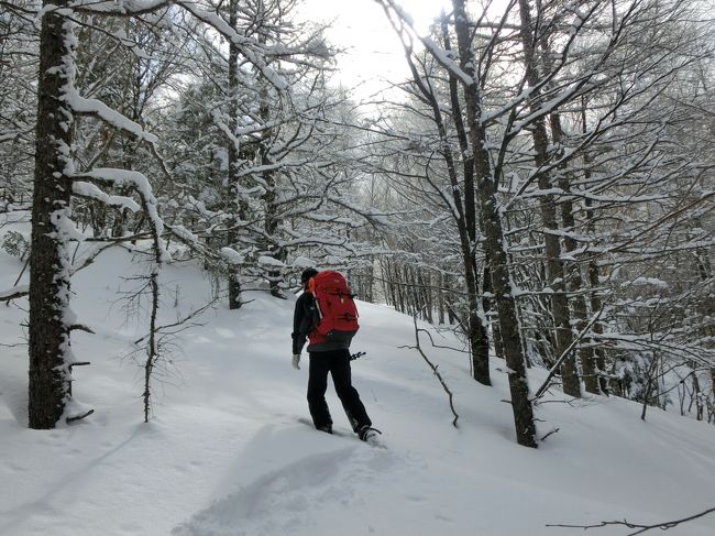 ホテルアンビエント蓼科に滞在中、できる限り雪の原野に飛び出しスノーシューをする。最初はホテル近くの散歩コースで足慣らしをし、次第に難易度を上げていく。後半は長門牧場の広大な雪原でしっかり足腰を鍛え、最後はホテル専属のネイチャーガイド「木島」さん（写真）と２人で雪の蓼科山に入る。本格的なスノーシュー・トレッキングである。<br /><br />私のホームページに旅行記多数あり。<br />『第二の人生を豊かに』<br />http://www.e-funahashi.jp/<br />（新刊『夢の豪華客船クルーズの旅<br />ー大衆レジャーとなった世界の船旅ー』案内あり）