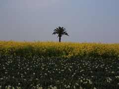 旅するイルカ♪　和泉環境リサイクル公園＆花の文化園へ　Part1　リサイクル編