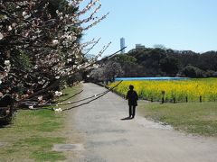 今年も菜の花や春の花が咲き乱れる浜離宮恩師庭園にピクニックに行きました。