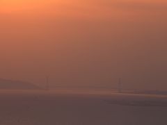 旅するイルカ♪　大阪府咲洲庁舎　夕日ウィークへ