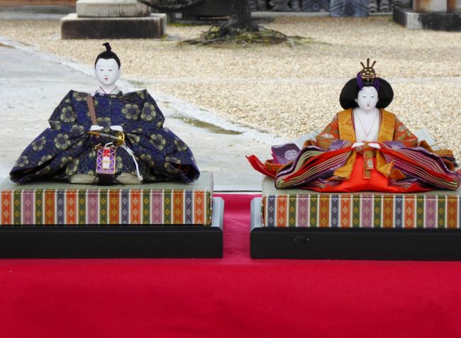 雨上がりの土曜日の朝、高校時代の友人から「雛祭り、見に行こう」<br />のお誘いが・・・<br /><br />富田林駅近くに駐車場が広いファミリーレストランがあるそうです。<br /><br />各地から集合した熟年おばちゃん５人・・・ランチの後、さあ歩きましょう。<br /><br />2015年は3月14日（土）、15日（日）2日間開催、毎年日程は異なります。<br /><br />明日も開催されるので、急いで旅行記をアップしました。