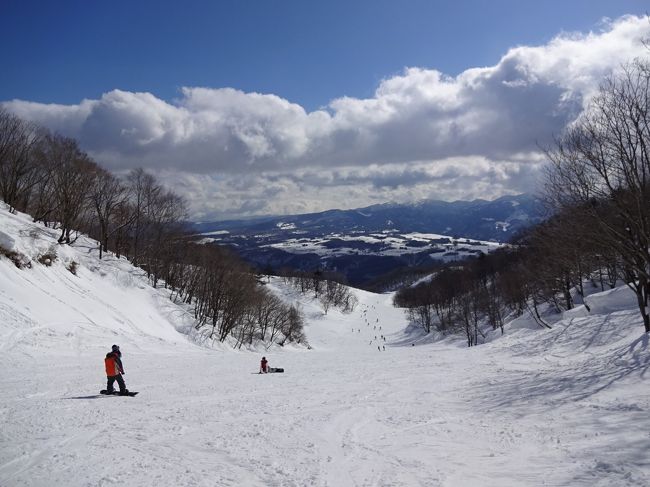 友人に誘われてスキーに出かけました。<br />２０１２年に北海道で滑って以来です。<br />もうスキーはすることないなと思っていました。<br />当時乗っていたランクルから乗り換えたことも大きな要因です。<br />なので、友人の車で連れて行ってもらいます。<br /><br />白馬八方で３泊４日の予定が急遽、ダイナランドに向かうことに。<br />北アルプスを横断（安房峠越え）することになるのですが、どうなることやら。<br /><br />肝心なことは無理しないこと。<br />写真を撮りながら休憩しながらゆっくりと滑ります。<br />