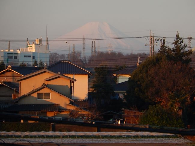 ３月１３日、午前６時１３分〜午前６時１７分迄、朝焼け富士を眺めた。 ２月１日の朝焼け富士が午前６時３６分に見られたのと比較して２３分以上も早くなっていることが分かった。<br /><br /><br /><br /><br />＊写真は午前６時１３分の朝焼け富士