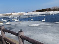 真冬の北海道旅行