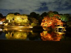 六義園の紅葉ライトアップ