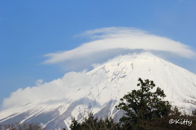 2月後半にダイヤモンド富士と星空撮影合宿で富士山を見に行ったばかりだけど、今回は恒例のフォトサークルでの富士山撮影会で再度富士五湖へ。<br />しかも今年はこのサークルの幹事の一人に任命されてしまったので（…いや、任命して頂いたので！？）、ほぼ強制参加。<br />撮影に一層励めということか？でも撮影会ではその余裕はなさそうだなあ。。。<br /><br />ダイヤモンド富士の時もお天気がいまひとつで良い景色がみれなかったけれど、今回も天気予報は雨っぽい…。<br />…と思っていたらなんと大雪！もう3月なのに驚きだ～。<br />山中湖はもちろん、本栖湖でも富士山は見えず、またまた前回も行った白糸の滝へ。<br />ここではお天気も回復し、滝にほんのり虹や、帰り際にはなんと笠雲がかかった富士山が見えちゃった～！！<br /><br />本当に目まぐるしい天気の中での撮影だったけれど、最後の最後にすごい景色が見えて、終わりよければすべてよし☆、で無事撮影会は終了できてよかった～。ホッ。<br /><br />