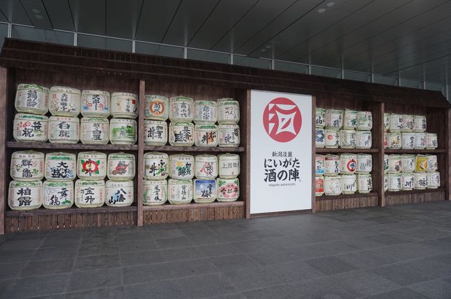 お酒が好きで特に日本酒が好き。昨年に引き続き二度目の酒の陣へ。酔いが進むとついついお酒のほうに意識が行ってしまい、写真がほとんど撮れていません…。<br />酒の陣でのお酒の解説はありません。悪しからず。