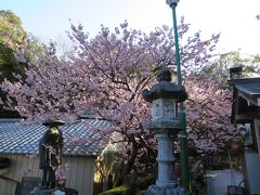 四国霊場八十八箇所お遍路の旅第６回宿泊バスツアー☆１日目☆桜が咲いてる～(^O^)