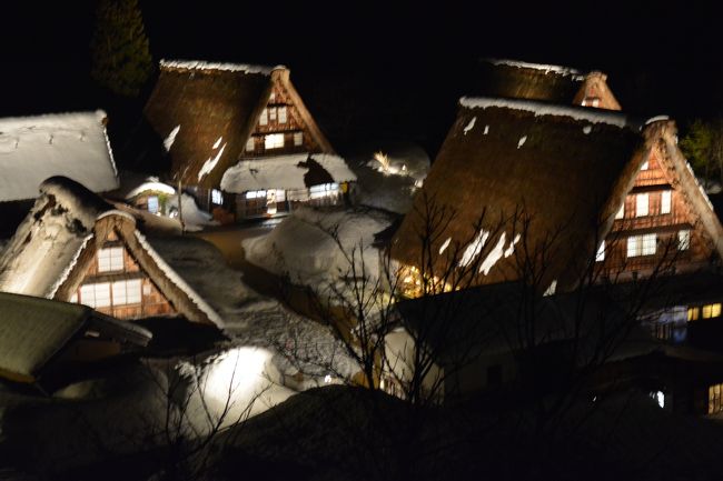 北陸の皆様におかれましては<br />北陸新幹線の開業、おめでとうございます！<br /><br />3月14日の開業日、富山まで乗ってみた～。<br />秋田のこまちに比べてちょっと地味かも。と<br />思ってた車体の色、ブルー＆カッパーも<br />凛々しくって、とってもクール！<br /><br />今回は北陸新幹線でイク、きときと富山２日間<br />写真は開業を祝っての熱烈ライトアップ、<br />世界遺産・五箇山。<br /><br />旅の予定はこちら↓<br />■１日目　<br />・かがやき525号で東京から富山へ。<br />・白エビ丼、富山湾鮨、富山ブラック堪能。<br />・五箇山ライトアップ鑑賞。<br />　 <br />□２日目<br />・日本のベニス、新湊散策。<br />・海王丸＆新湊大橋へ。立山連峰を愛でる。　<br />・かがやき528号で富山から東京へ。<br />・そして札幌へ帰る。<br /><br />