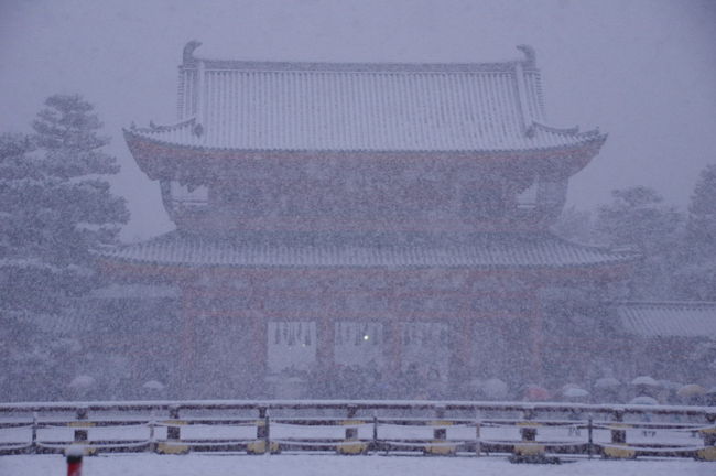 今年の京都は新年早々昼すぎから雪が降りだし、雪景色となりました。<br />珍しく仕事がなく新年を過ごせたので雪景色の誘われるまま<br />平安神宮へ初詣<br />お詣りする前と後でも違う風景になるほどの降り様で<br />大きな鳥居さえホワイトアウトで見えなくなるほどでした。<br /><br />６１年ぶりに更新され積雪量は何と２０?<br />真っ白に雪で浄められた新年　いいスタートが切れたかも…<br /><br /><br />宜しければこちらもご覧くださいませ〜<br />デジブック「京都元旦雪景色」<br />http://www.digibook.net/d/6814cbf7b15a8059e65b41c4c84d73c2/?viewerMode=fullWindow