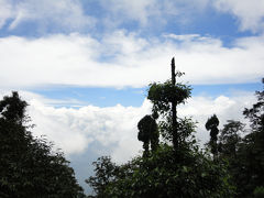 紅茶が有名なあの町へ、インド東北部ダージリンの思い出１