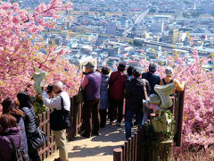 「富士と桜と大パノラマ」まつだ桜まつり　下　西平畑公園　絶景