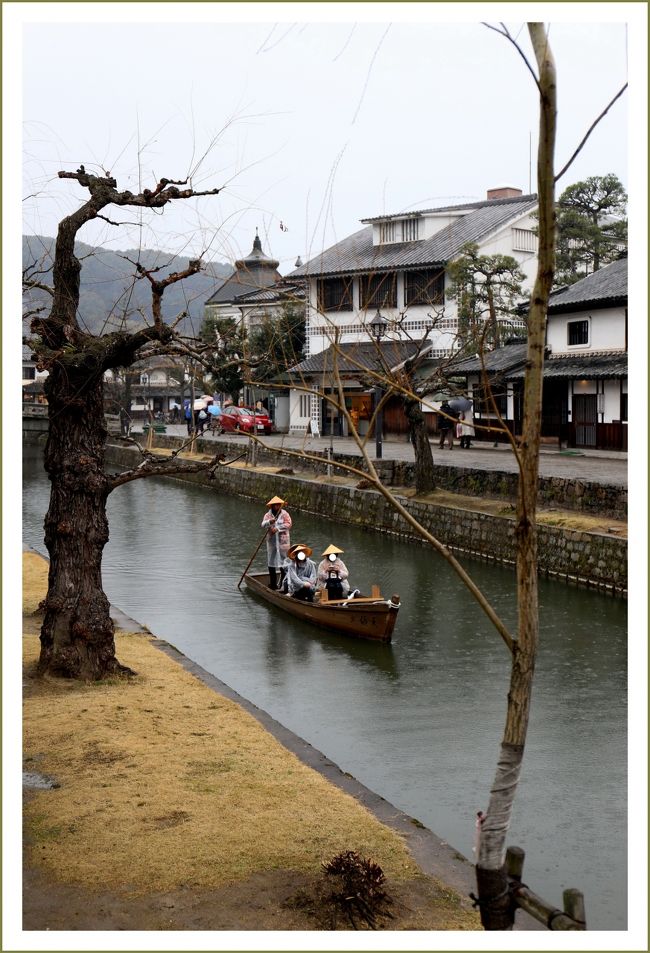 ■江戸時代の面影を残す白壁の町「倉敷美観地区」／岡山県倉敷市<br /><br />　江戸時代の面影を残す白壁の町「倉敷美観地区」は、言わずと知れた岡山県の代表的な観光名所です。<br />　倉敷美観地区は倉敷駅から徒歩１０〜１５分程の近くにあり、江戸時代の建物が多く残り、それをレストランや土産物店などに使っています。<br />　白壁の町・文化の町として有名な「倉敷エリア」は、江戸時代、天領として栄えた商人の町でもありました。<br />　倉敷川沿いの美観地区は、白壁と黒本瓦の鮮やかなコントラストが目を引きます。倉敷川は倉敷美観地区の中心を流れる情緒豊かな川です。<br />　今橋、中橋、高砂橋の３つの橋が架かり、川面に映る柳の木や白壁の蔵屋敷がたいへん美しく、情緒豊かな町並みを演出しています。<br />　そしてメインストリート、川舟流しが行き交う倉敷川沿いを彩る柳並木…。落ち着いた雰囲気が往時を彷彿させ、いつしかゆるやかな時間が流れだしています。<br />　倉敷川沿いにたたずむ蔵屋敷、このようなたたずまいは、江戸時代に入って、特に寛永１９年（1642年）幕府の直轄地である天領となってから形成されていきました。<br />　古来この附近一帯は「小野が城」または「城の内」と呼ばれ、戦国時代の砦の跡といわれています。慶長５年（1600年）関が原の合戦で東軍が勝利を得てから、この地は徳川幕府の直領（天領)となりました。<br />　慶長１９年（1614年）大阪冬の陣に備中国総代官小堀遠州は幕府の命をうけ、兵糧米十数万石を倉敷湊から大阪に積み出すため、ここに屋敷を構えて陣屋としました。<br />　それ以来、倉敷湊は急速な発展を遂げ、寛永１９年（1642年)に陣屋は倉敷代官所となり、初代幕府代官米倉平太夫が赴任してきました。<br />　それより明治維新にいたる二百余年間、倉敷代官所は備中（倉敷)美作（久世）讃岐（塩飽諸島）の天領を支配する枢府となりました。<br />　直轄地となり、代官支配を受けてからは、新田開発による農地の増加、綿花の栽培による商工業の発展により、周辺から多くの人々が流入するようになります。<br />　備中、美作、讃岐の米、綿、油などが陸路、水路を通じて集荷、搬出されるようになり、一大商業地として繁栄しました。川沿いには綿花問屋、米穀・肥料問屋などの倉庫が次々と建てられました。<br />　往事の倉敷川周辺では、物資を積んだ船から集荷をおろす人々や、それを運ぶ大八車の往来で大変賑わったといわれています。<br /><br />【手記】<br />　職場関係のバスツアーに参加してきました。早朝５時半起きの７時出発でしたー。しかも前日は深夜までお勤めがあり、睡眠時間がほとんどとれず〜。姫路へは４日前にも行ったのですが、まあ立場上仕方ない。<br />　公共の乗り物が苦手なわたくしがなんと！懲りもせずまたまた観光バスに乗って姫路セントラルパーク＆倉敷美観地区へ行ってきたのです。<br />　我儘な＾＾；）車旅トラベラーを自負するわたくしにはホントにつらかった＾＾。特にタバコ！＝３