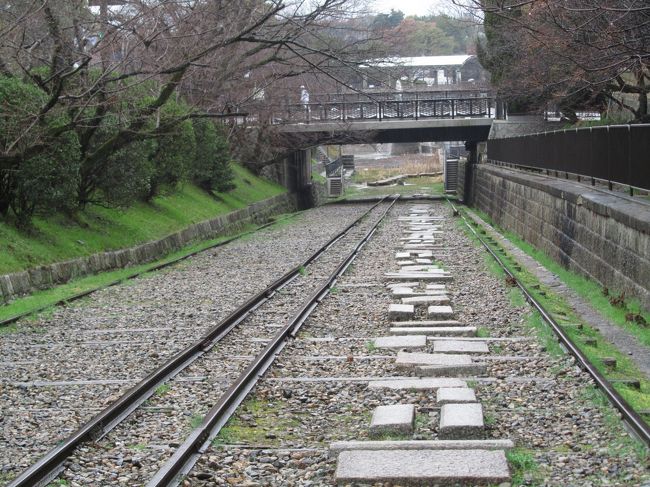 めったにできることではありませんが、金曜日の観劇ナイトの後、東京に泊まり、翌朝６時台の新幹線で京都を日帰りすることにしました。<br />目当ては京都市動物園のレッサーパンダです！<br /><br />京都市動物園の開園時間は９時。<br />はじめは品川駅始発６時の新幹線に乗り、ちょっと早いけれど８時２分に到着し、動物園に行く前に京都御苑の梅林を見に行くことを考えました。<br />ところが、せっかく京都行きを計画した本日は、午前中、雨予報（泣）。<br />関東にいれば曇天でも雨に見舞われることはなかったでしょうに、くやしいです。<br /><br />なので、新幹線は少しずらして６時13分発にし、８時19分に京都に到着しました。<br />京都駅から地下鉄蹴上駅最寄りの動物園まで30分あれば、開園時に余裕で到着するだろうと思ったのですが、慣れぬ京都、あちこちでもたついてしまったせいで、蹴上駅に着いた段階ですでに９時をまわってしまいました。<br /><br />でも、今度こそ疏水インクライン沿いを散策しながら動物園に向かうことができました。<br />去年2014年に初めて京都市動物園を訪れたときは、インクラインへの上がり方が分からず、疏水インクライン下の歩道を通って行ったのです。<br />３月中旬では、インクラインの桜並木の桜はまだまだでしたが、つぼみのない桜の木々から満開時の想像はつきました。<br />満開の梅の木が１本あったので、雨にぬれた梅の花の写真を撮ることができました。<br /><br />というわけで、動物園へのアクセスとしてはちょっと遠回りになりましたが、ふつうの道路を歩くより楽しかったのは確か@<br /><br />＜大人になってから２度目の京都行き2015年春の旅行記のシリーズ構成＞<br />□（１）五反田前泊編（ホテル五反田ロイヤルオーク）＆アクセス編・ちょっぴりグルメ編<br />■（２）雨の琵琶湖疏水インクライン沿いを歩いて京都市動物園へ＆動物園いろいろ<br />□（３）京都市動物園（前編）レッサーパンダ特集：子パンダ・ムータン、雨の中も屋外終日出勤！〜古都ちゃん・ジャスミンちゃん・ウーロンくん・茶々おじいちゃん交代で勢揃い<br />□（４）京都市動物園（後編）楽しみにしていたアジアゾウは屋内展示で見づらくて残念！〜だけどウリ坊姿のブラジルバクの子供やケープハイラックスやヤブイヌは可愛かった@<br />□（５）日没前後の京都御苑の梅林めぐり〜京都御所の広さの一端を感じる<br /><br />京都市動物園の公式サイト<br />http://www5.city.kyoto.jp/zoo/<br /><br />＜タイムメモ＞<br />05:35頃　ホテル五反田ロイヤルオークをチェックアウト<br />（品川駅改札窓口で新幹線の当日券を購入）<br />06:13　品川駅発新幹線のぞみ291号新大阪行きに乗車<br />08:19　定刻に京都駅に到着<br />09:00すぎ　地下鉄蹴上駅到着<br />09:10-09:25　疏水インクライン沿いを歩く<br />09:30頃　京都市動物園に入園<br />（開園時間は9:00）<br />09:45-12:20　レッサーパンダ<br />（屋外はムータン・古都（単独）／屋内は茶々）<br />（11:00〜ジャスミン出勤・ムータンと同居）<br />12:30-13:20　ランチ休憩<br />13:25-13:40　熱帯動物館<br />13:40-14:05　マンドリル＆ゾウの森<br />（＆ケープハイラックス・ブラジルバク）<br />14:10-14:20　ゴリラのおうち<br />14:25-15:10　レッサーパンダ<br />（屋外はムータン・茶々の同居とウーロン（単独））<br />15:10-15:35　休憩<br />15:35-15:50　ヤブイヌ<br />15:50-16:10　もうじゅうワールド<br />（ライオン・ジャガー（写真撮れず）・アムールトラ）<br />16:10-16:45　夕食中のレッサーパンダ<br />（屋外は茶々、屋内はムータン）<br />16:55　動物園を出る<br />（閉園時間は17:00）<br />17:30-18:25　京都御苑散策<br />18:50-19:15　京都駅Porta Diningの京阿月で夕食<br />19:20-19:50頃　おみやげ物色<br />20:02　京都駅発のぞみ416号東京行きに乗車<br />22:13　定刻に品川駅着<br />00:20頃　帰宅<br /><br />＜レサパン動物園に行きたくて大人になって初めて計画した去年の京都小旅行の旅行記（2014年３月22日）＞<br />「レッサーパンダに会いに２泊１日の京都小旅行（１）京都市動物園編：これぞ一番目当て！〜中国出身のレッサーパンダのウーロンくん＆ジャスミンちゃん、古都ちゃん、はじめまして！　それからちんまり可愛いヤブイヌにも会いたい！」<br />http://4travel.jp/travelogue/10870078<br />「レッサーパンダに会いに２泊１日の京都小旅行（２）まるで外国人観光客みたいに写真を撮りまくったアクセス編＆移動編」<br />http://4travel.jp/travelogue/10870244<br />「レッサーパンダに会いに２泊１日の京都小旅行（３）とるのに苦労したおかげで見つけた京都の一般家屋風のリーズナブルな旅館「葵荘」」<br />http://4travel.jp/travelogue/10870246<br />「レッサーパンダに会いに２泊１日の京都小旅行（４）せっかくなのでこだわったグルメ編」<br />http://4travel.jp/travelogue/10870247<br />「レッサーパンダに会いに２泊１日の京都小旅行（５）京都らしい観光もちょっとだけ：平安神宮と岡崎神社」<br />http://4travel.jp/travelogue/10870249<br />「レッサーパンダに会いに２泊１日の京都小旅行（６）梅が見頃で彩りを添えた平安神宮の神苑めぐり」<br />http://4travel.jp/travelogue/10870252<br />「レッサーパンダに会いに２泊１日の京都小旅行（７）夜の京都編：京都タワーから眺めた夜景と京都よるバス」<br />http://4travel.jp/travelogue/10870254<br />