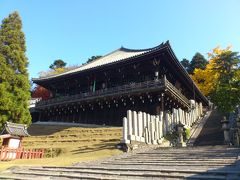 奈良公園　紅葉狩り