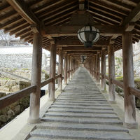 ちょこっと１泊２日で奈良へ「1日目」