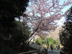 桜満開の椿山荘を散策しながら七福神＋一福神（庭の神）を探してみよう