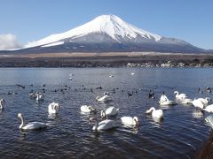 15年冬～憧れの富士山を近くで見よう□３ 山中湖編