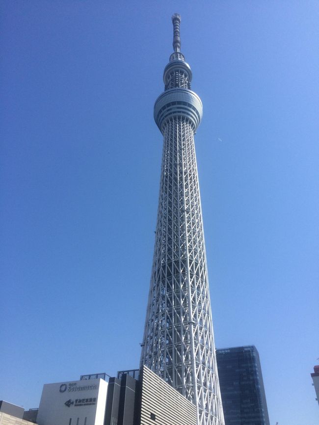 東京出身ですがSKYバスにて東京観光してきました！