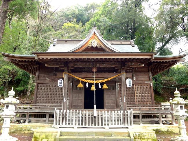 独鈷そば大戸で満足の昼食を頂いた後、妻と二人で修善寺観光に向かいます。<br /><br />先ず向かったのは修善寺温泉街の中央にある日枝神社(ひえじんじゃ)。<br /><br />カシ、マキ、ケヤキ、スギの老大木が並ぶ源頼朝ゆかりの古い神社です。<br />