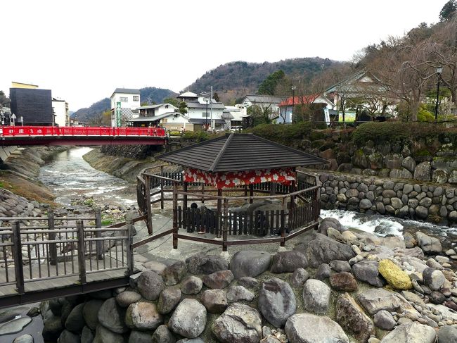 日枝神社･修禅寺を見て回った後は、他の見所を訪ねます。<br /><br />中伊豆修善寺は伊豆の小京都といわれる古い温泉街で、街の中心を流れる渓流桂川（修善寺川）の両側に見所がコンパクトに並んでいます。<br />