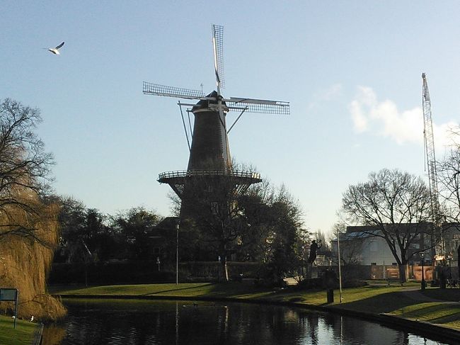 ずっと行きたかったオランダ。<br />博物館、美術館の改装が終わるのを待ってついに実現することができました！<br /><br />旅のテーマは黄金時代のオランダ。<br /><br />こちらの旅行記を参考にしたり、自分なりに調べて楽しんできました。<br /><br />できるだけ詳しく記録していきますので、これから行く人の参考になれば幸いです。<br /><br />1日目　　成田-アムステルダム<br />2日目　　ロッテルダム＆デン・ハーグ観光　<br />3日目　　ライデン＆ホールン観光　★<br />4-5日目　アムステルダム観光<br />6-7日目　アムステルダム-成田