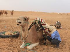 夫婦でチュニジア旅行、砂漠ツアー