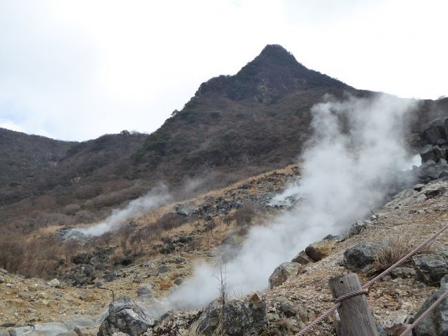 3月15日〜18日、愛犬と一緒に箱根と富士五湖へ行きました♪<br />元箱根、大涌谷、強羅温泉、御殿場、河口湖、西湖、精進湖、本栖湖を訪れました♪<br />強羅温泉、河口湖で宿泊しました♪<br /><br />☆Ｖｏｌ４：第１日目（３月１５日）大涌谷♪<br />元箱根から芦ノ湖に沿って大涌谷へ。<br />大涌谷も４０年ぶり。<br />昔は噴気がたくさんで見えないくらいだったことを記憶しているが、<br />現在は噴気が少なく、びっくり。<br />活動が低下している？<br />もっとびっくりしたのは近代的な建物の巨大なお土産屋。<br />昔は木造の小さな土産屋しかないもので<br />しかも販売していたのは黒たまごのみだったと思う。<br />昔のほうがひなびた雰囲気でよかったのにな〜。<br />今は東南アジア方面からのお客で大混雑。<br />国際色豊かな観光地に変貌していることに時代の流れを感じさせる。<br />ゆったりと歩いて♪