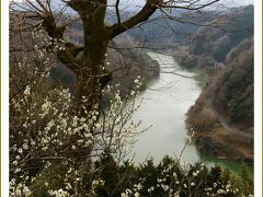 Solitary Journey ［1540］ 梅の花は２～３分咲き、冴えない観梅散策。でもＶ字渓谷の景色が良かったです。＜月ケ瀬梅渓＞奈良県奈良市