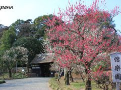 青春18切符一人旅　水戸偕楽園梅まつり～好文亭～弘道館～第10回夜・梅・祭～前半　　　