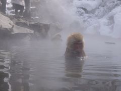 信州・渋温泉の外湯９湯巡りとスノーモンキー