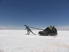 新婚旅行で南米へ　８日目☆ウユニ