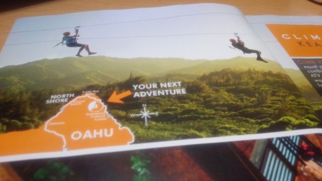 最終日のこの日は2日目に予約した ZIP LINE に参加するため、チェックアウト後はそのままノースへ。<br /><br />ZIP LINE を楽しんで、<br />カフクのフキラウカフェで名物バーガーを TOGO して海で食べたあとは、<br /><br />美味しかった ワイアルアベーカリーのバナナブレッド と キラータコスのタコスを絶対買って帰ろうと決めてた。<br /><br />なのに、ワイメアベイ付近の大渋滞にはまってしまう。<br />空港までの時間がどんどん押してしまい、泣く泣くあきらめることになってしまった。<br /><br />ZIP LINE は、やってよかった!<br />この旅行の一番の思い出になった。