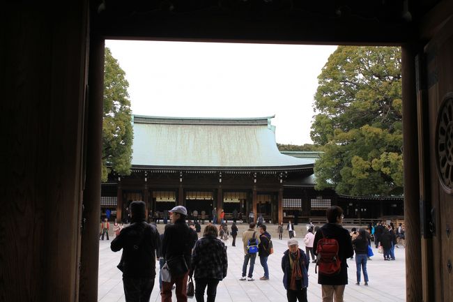 明治神宮を初めて参拝してきました。<br />山手線原宿駅から、神宮の杜へ一歩踏み入れただけなのに、なんという静けさ、そしてこんなに都会の真ん中であるのに清らかな空気に包まれる、とても神聖な雰囲気の中で、明治神宮、参拝してきました。