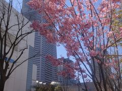 キム・ジェジュンさんのファンミ！入隊前のお見送りに行って来ました。横浜ロイヤルパークホテルからの絶景とともに。