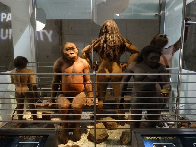「マロペン・ビジターセンター」は「ヨハネスブルグ」から北西に「約３０ｋｍ」に位置している「人類の起源」を紹介した「博物館」です。<br /><br />この辺りは「南アフリカの人類化石遺跡群」として「世界遺産」に登録されています。<br /><br />「アウストラロピテクス属」が最初に発見された遺跡を含み、「アウストラロピテクス・アフリカヌス」や「パラントロプス・ロブストゥス」など多数の人類化石が発見されているため「人類のゆりかご（人類発祥の地）」と名付けられています（ウィキ）。