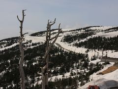 ゴールデンウィーク　雪残る八幡平