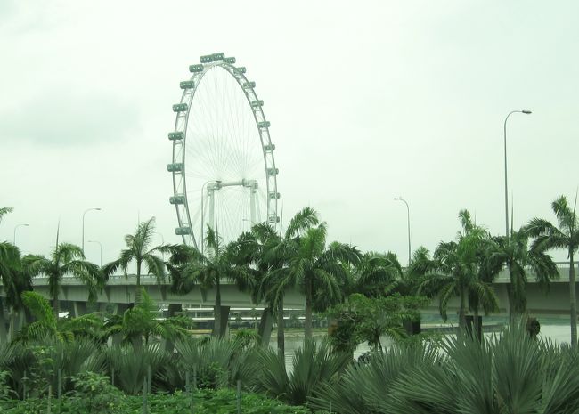 世界一周船旅の寄港地シンガポール<br />の市内観光で大観覧車から街全体を<br />撮影<br />