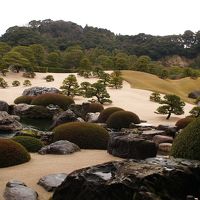 足立美術館で、日本庭園を楽しむ。