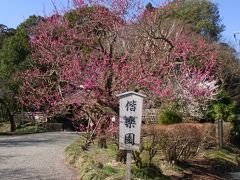 お花見をしてから海へ