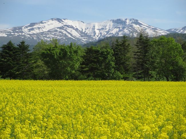 ４トラの知り合いのwaadsさんから、北海道でのオフ会の誘いが入りました。<br />無論、即刻ＯＫ。<br />それに合わせて、旧知の４トラメンバー、鶴ちゃん、arakiさんと周遊する事に。<br />以前から行きたかった、積丹・オタモイを巡り、オフ会のある札幌へ。<br />総勢７名での賑やかなオフ会を楽しみました。<br />翌日、４トラメンバーの町子さんと３名で何としても行きたかった、石狩市厚田にある、かねとも寿司で極上の寿司を食べる事が出来ました。<br />その後、酒好きの私の為に？国稀酒造の見学と、盛り沢山のスケジュールを、楽しむ事が出来ました。