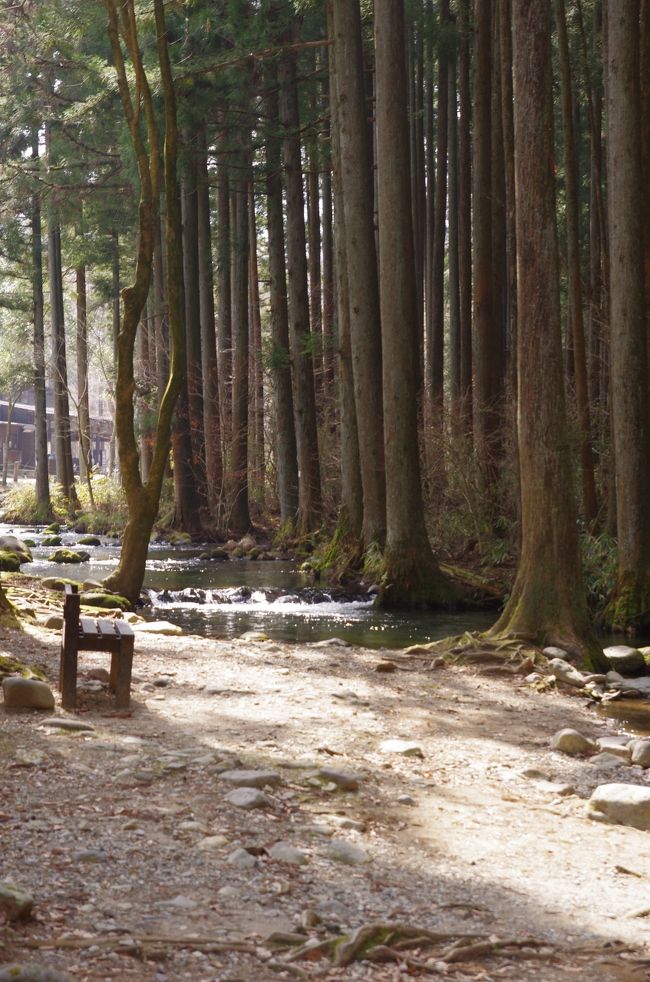  妻が仕事の日曜日。普段は出来ない男だけの旅。名付けて男旅 with Jr in那須と<br />なりました。まずは、うちのJr　ガソリン（お食事）を入れないと<br />遊びも気分も乗らない男子なので、まずは野菜ソムリエのいるビュッフェ　ヴォイエッタへ。<br />私のとったデザートも半分以上Jrに食べられてしまった。お店情報は口コミも参考にしてください。<br />こんなに食べたら眠くならねべか？（←なぜ訛る？）と思いましたが<br />大丈夫でした。次に妻へのお土産買い出し。<br />那須はおいしいパン屋が多いのです。観光客には、ペニーレインでしょうが、<br />地元民としては違うお店をと。<br />米粉のパン屋「那須のお米のパン屋さん」なんと潔いストレートなお名前。<br />うちの子は違いますが、小麦や卵のアレルギーのあるお子さんのいる家庭には<br />おススメです。食パンを含め数種類買い込みました。翌朝食べましたが<br />和風系のあんこと相性のよい菓子パンはもちろん食パンもおいしかったです。<br />食パンは、小麦粉パンよりボリュームあるのか結構お腹いっぱいになりました。<br />さて、本日のメインイベント。那須フィッシュランドへ。<br />なんといっても、釣り堀感（なんか、みんな寄せ集まって狭いところで釣っている感じ）<br />の少ない、渓流の釣りスポット。<br />一匹ごとに清算するプランか、ただで引き取ってくれるけども、時間固定で釣り放題が<br />よいか聞いたところ、よく釣れるので時間プランがいいのではないかと。<br />1時間プランで2000円弱でした。（釣竿、いくらえさ付）これが誤算！<br />さて、ますを放流してもらいスタート。<br />おっ、すぐに釣れた。しかし、Jrは怖いのか魚をつった写真撮れず。<br />バケツに入れた後はよく見ていましたけどね。<br />その後、、、、一回ヒットがあったものの釣れず。鱒さん　イクラ　飽きてるんじゃ？<br />受付に戻ったら、お兄さんが釣れませんでした？と申し訳なさそうに。<br />鱒のから揚げ1個サービスしてもらいました。Jrは食欲の人なのでこれはラッキー。<br />そして、から揚げスペシャルスパイス味　おいしい！これもラッキー。<br />その後、同敷地内の天然温泉　ほたるの湯へ。<br />フィッシュランドのチケットを見せると大人子供ともに約半額に。<br />釣りの成果はいまいちだったけど、Jrもご機嫌。<br />そういえば、行きの車の中で牧場に急に行きたいと。<br />じゃ、寝るなよ　寝たら牧場つかないからなと念を押して<br />千本松牧場へ。寝るかと思ったらしっかり寝ないで着いてしまった。<br />どうぶつとの触れ合いの場でしたが、やはり臆病者。牛も山羊も羊も豚も<br />猛獣と相対しているのかというほどの距離感を維持して写真を撮っていました。<br />この臆病な性格誰から受け継いだのやら？<br />飲むヨーグルトを飲みながら、幸せそうに熟睡しながら<br />男旅は帰路へ着くのでした。<br />