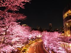 東京の桜の名所を弾丸トラベル