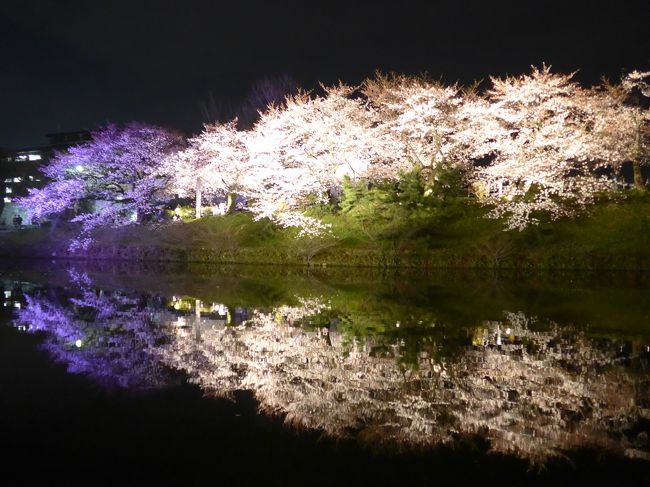 今年も福岡城址で開催されている「福岡城　さくらまつり」に行って来ました。<br />開催期間は３月２６日〜４月５日の１１日間です。<br />ライトアップされた夜桜がとても奇麗でした。<br />ライトアップの時間は18:00〜22:00<br />有料特別ライトアップは三箇所で実施され１ヵ所で@300円　３ヵ所セットで800円です。